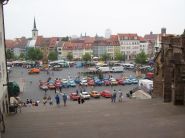 erfurt2008_peter_lo_073.jpg