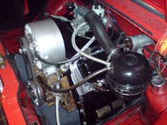 saporoshez_ronny4_08.jpg