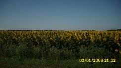 ronny-und-kay_ukraine2009_109k.jpg