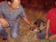 ronny-und-kay_ukraine2009_277k.jpg