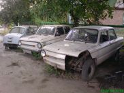 ronny-und-kay_ukraine2009_324k.jpg