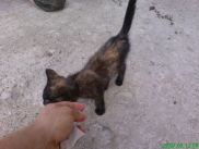 ronny-und-kay_ukraine2009_329k.jpg