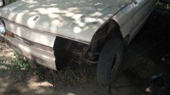 ronny-und-kay_ukraine2009_344k.jpg