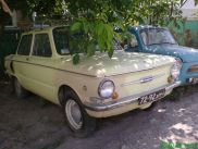 ronny-und-kay_ukraine2009_363k.jpg