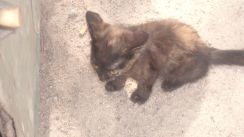 ronny-und-kay_ukraine2009_396k.jpg