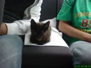 ronny-und-kay_ukraine2009_473k.jpg