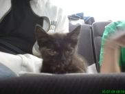 ronny-und-kay_ukraine2009_476k.jpg