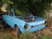ronny-und-kay_ukraine2009_522k.jpg