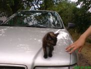 ronny-und-kay_ukraine2009_526k.jpg