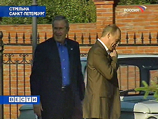 saporoshezputinbush006.jpg