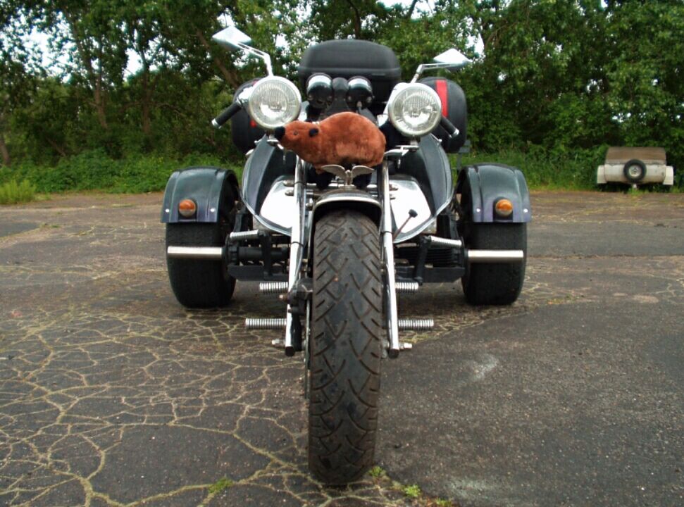 axeltrike015.jpg